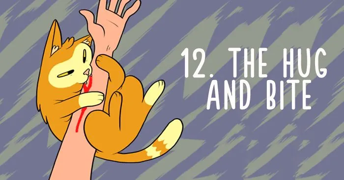 What Your Cat's Behaviour Actually Means (15 Pics)