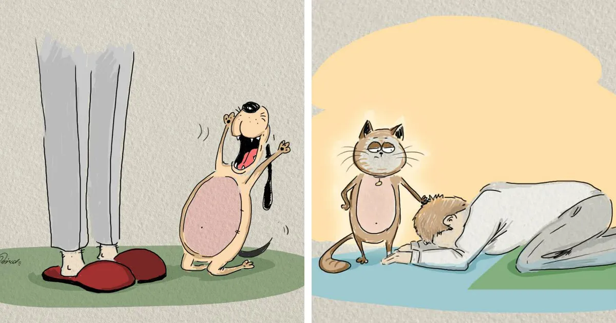 Cats Vs Dogs: 6 Differences Illustrated By Bird Born