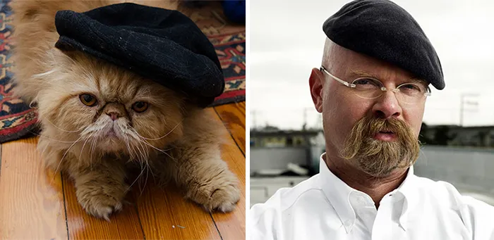 Fluffy cat wearing a black beret next to a man with a similar beret and mustache, showcasing celebrity doppelganger animals.