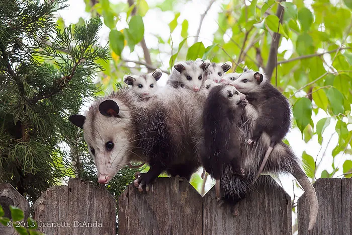 Ever Feel Really Weighed Down?
