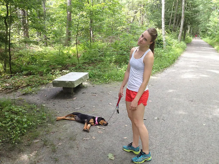 Take Your Puppy For A Walk They Said... It Will Be Fun They Said