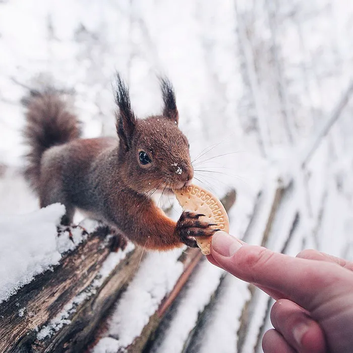 Breakfast Time