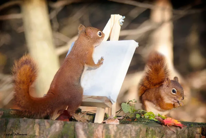 Artist With Model