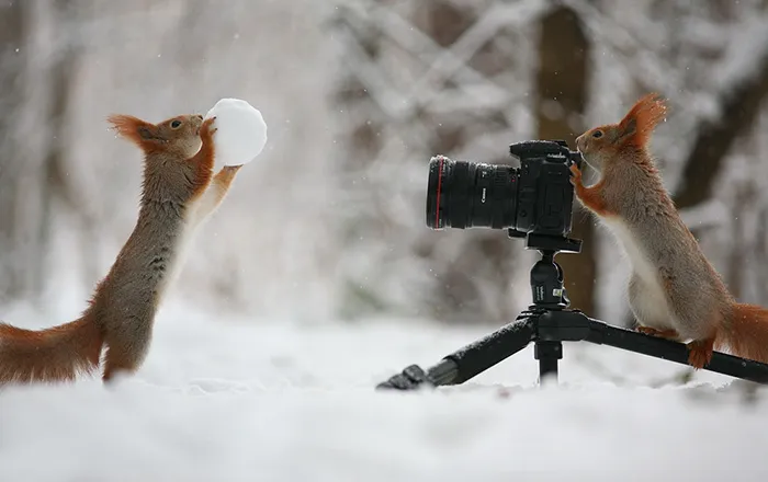 Winter Photosession
