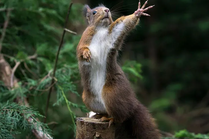 Taxi!
