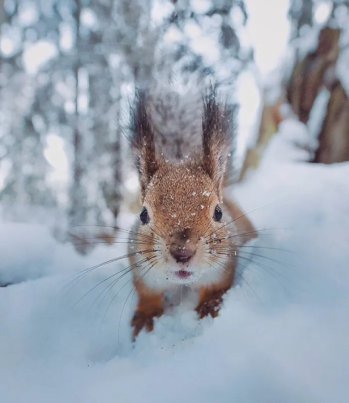 Can You Win This Guy In A Staring Competition?
