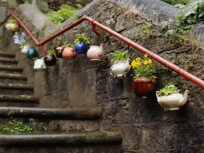 Potted Teapots And Jugs