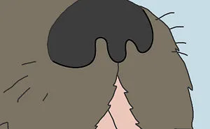 Challenge: Complete The Drawing