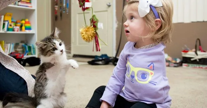 3-Legged Kitten Adopted By Amputee Girl Becomes Her Best Friend