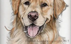 Dogs In Pencil