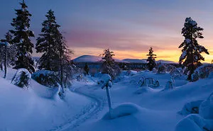 Experiencing Polar Night