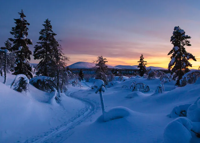 Experiencing Polar Night