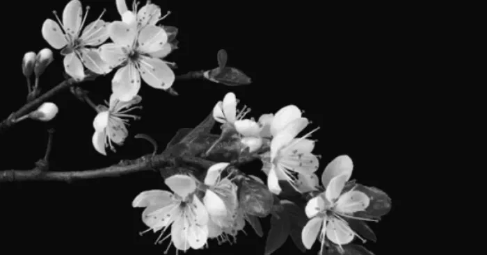 Simply Beautiful And Mesmerizing