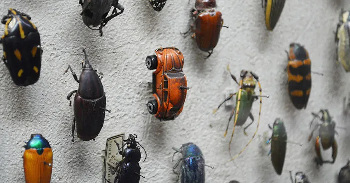 Someone Has A Good Sense Of Humor At Cleveland Museum Of Natural History