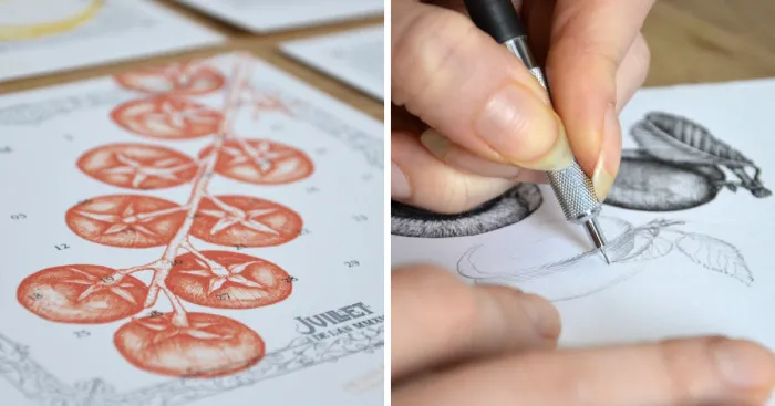 We Made A Calendar Of Fruits And Veggies You Can Pick Every Month