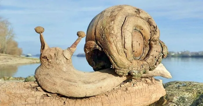 We Make Sculptures From The Wood That Has Been Washed By The Water