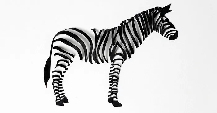 Paper Loops: I Create 3D Animals Using Shadows