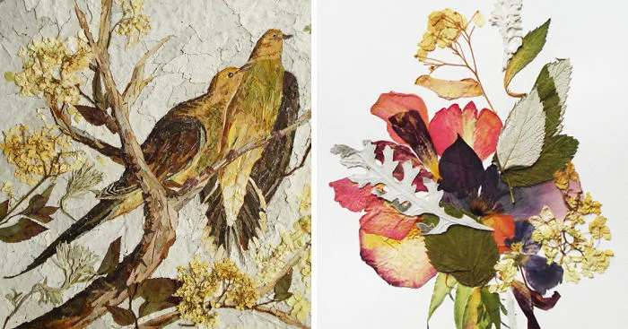 I Used 30 Plant Species To Create These Botanical Illustrations