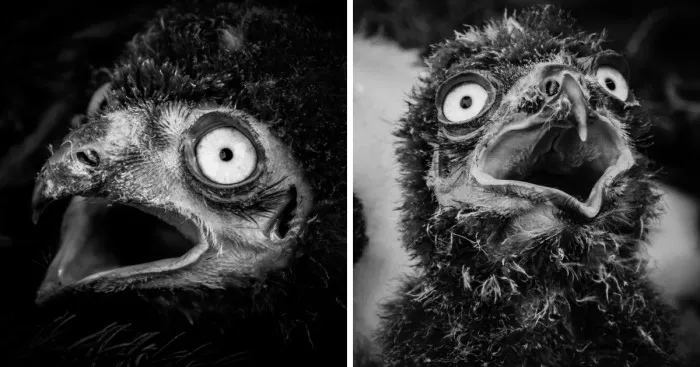 Oh No, Monday Is Here Again!