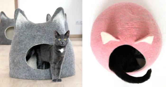 Our Cat And Her Wool Beds