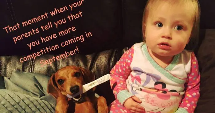 Our Adorable Pregnancy Announcement