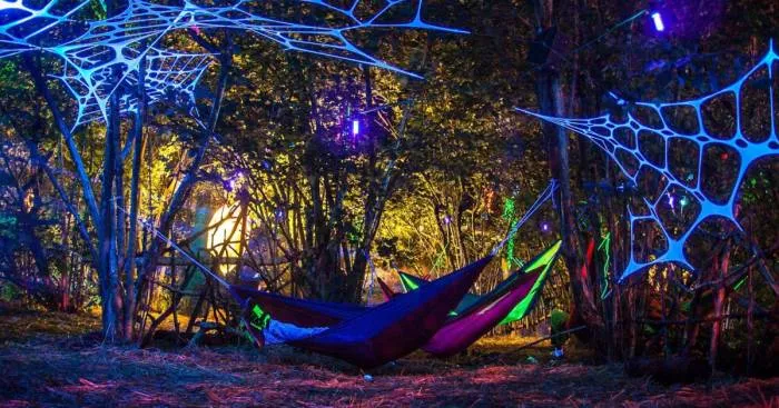 Inspired By The Beauty Of Nature We Create Magical Fluorescent Forests Indoors