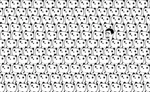 Find The Idiot