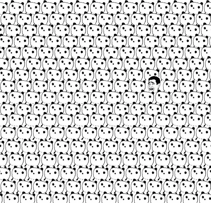 Find The Idiot