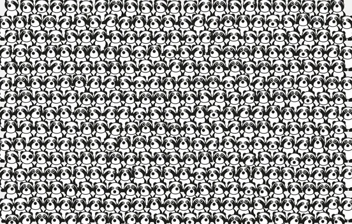 Find The Panda Game