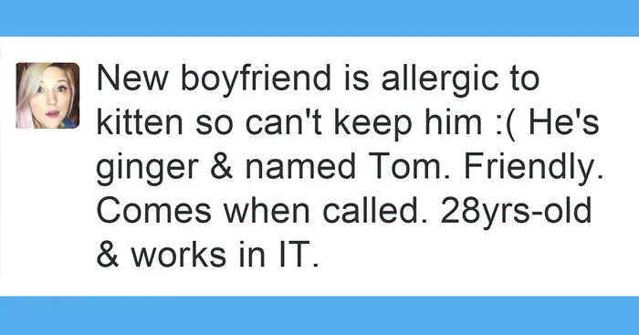 33 Funny Tweets About Cats