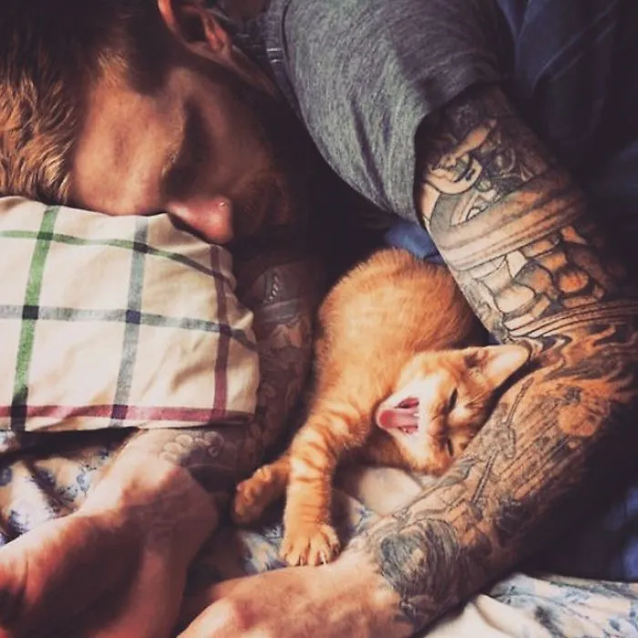 Hot Dudes With Kittens Instagram Is What You Need Right Meow