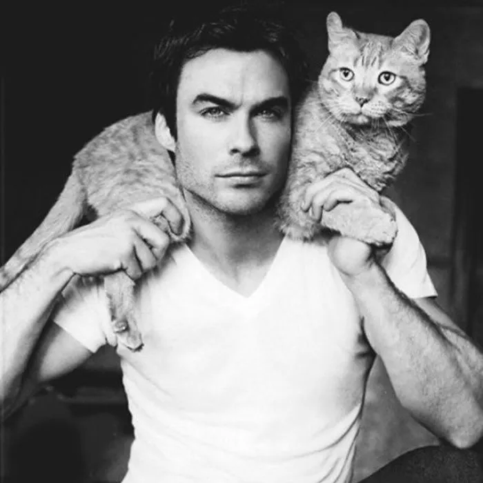 Hot Dudes With Kittens Instagram Is What You Need Right Meow