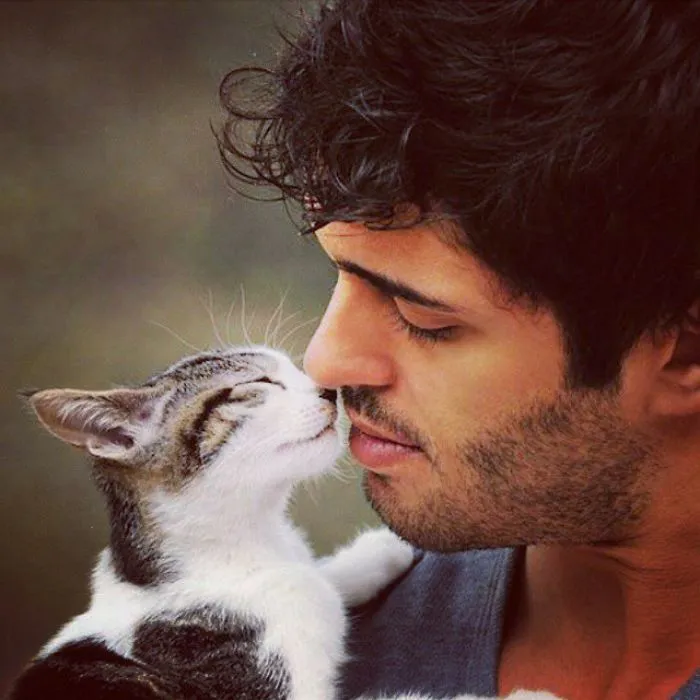 Hot Dudes With Kittens Instagram Is What You Need Right Meow