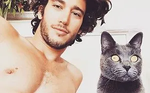 Hot Dudes With Kittens Instagram Is What You Need Right Meow