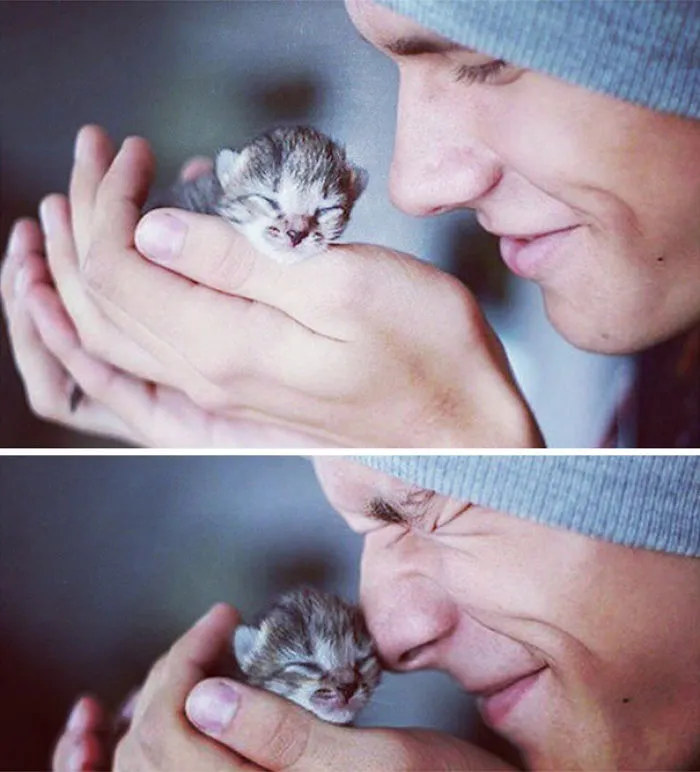 Hot Dudes With Kittens Instagram Is What You Need Right Meow