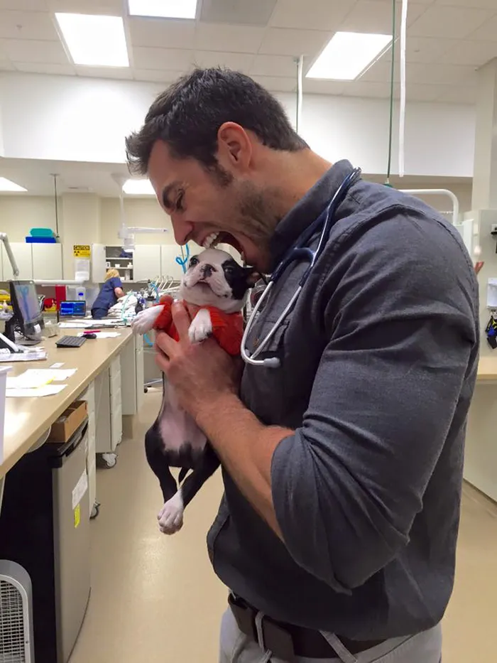 The Hottest Animal Doctor Ever That'll Make You Want To Get Your Pet Checked