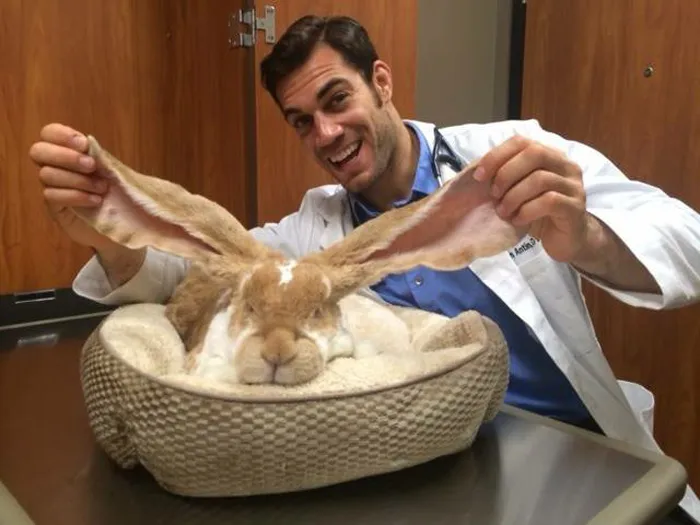 The Hottest Animal Doctor Ever That'll Make You Want To Get Your Pet Checked