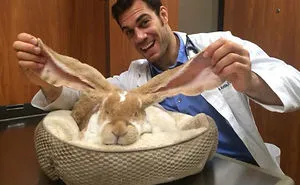 The Hottest Animal Doctor Ever That'll Make You Want To Get Your Pet Checked