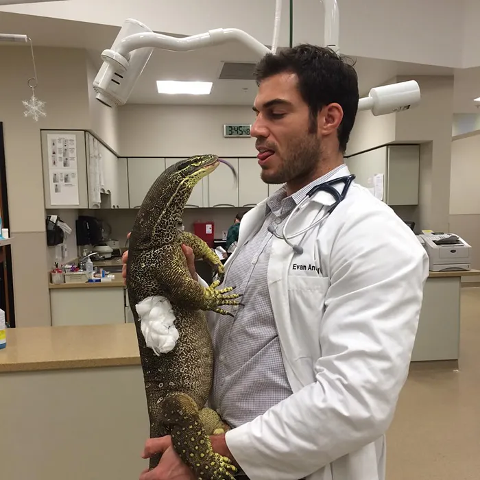 The Hottest Animal Doctor Ever That'll Make You Want To Get Your Pet Checked