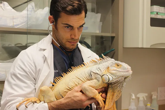 The Hottest Animal Doctor Ever That'll Make You Want To Get Your Pet Checked