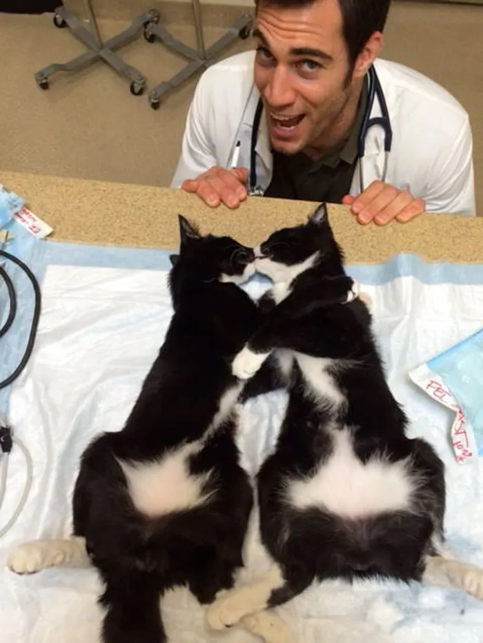 The Hottest Animal Doctor Ever That'll Make You Want To Get Your Pet Checked