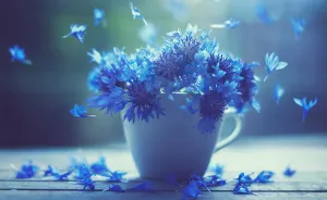 I Create Whimsical Images Using Flowers