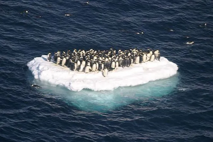 I Found These Pictures That Show What Pollution Is Doing To Our World
