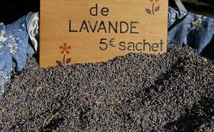 Why I Love Lavender