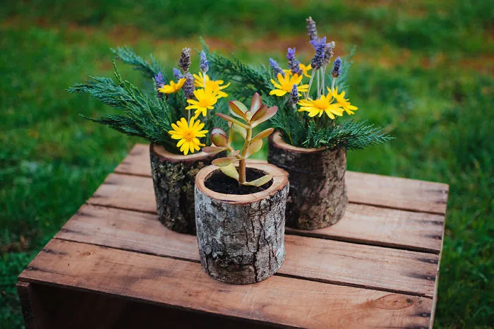 I Recycle Trees Into Natural Vases