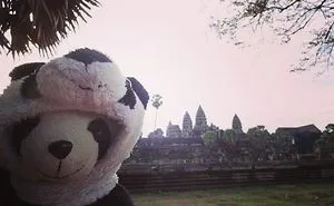 I Travel The World With My Panda Bear