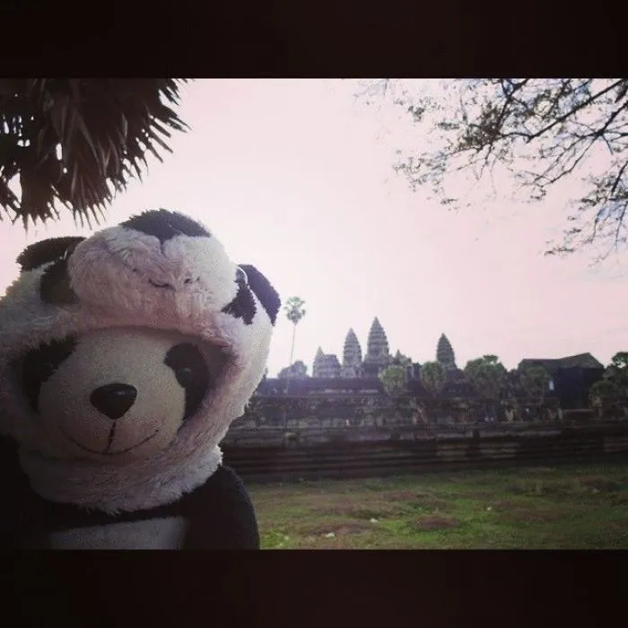 I Travel The World With My Panda Bear