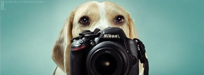 If A Dog Be A Photographer