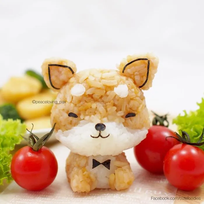 Shiba-Inu Dog
