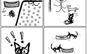Why I Love My Dog